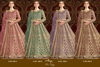 Aanaya Vol 209 By Dani Creation Net Gown With Dupatta